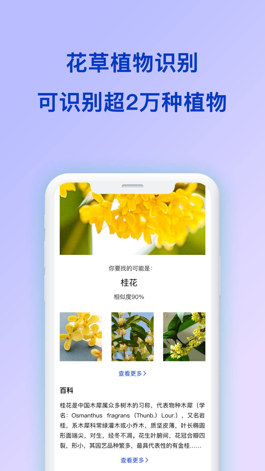 扫描全能王识图官网版