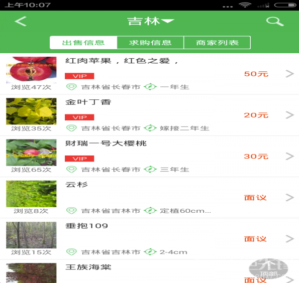 苗木通最新版