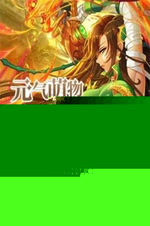 千岛的奇幻战争
