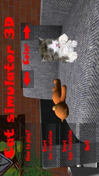 小猫模拟器