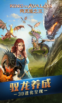 阿瓦隆之王:权力的