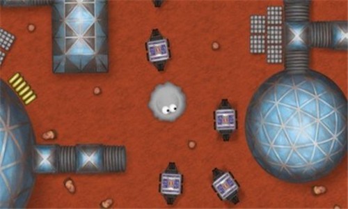 爱吃花蜜的小虫子手机版