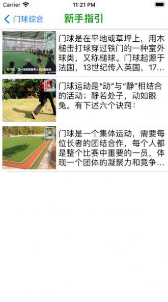 夕阳汇门球手机版